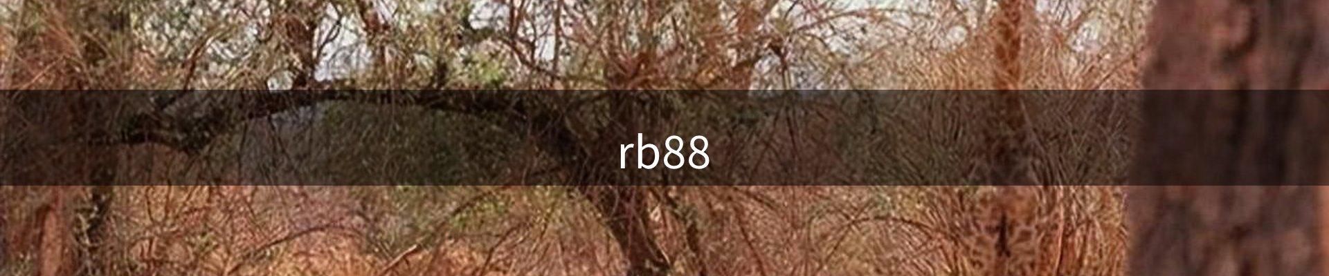 rb88